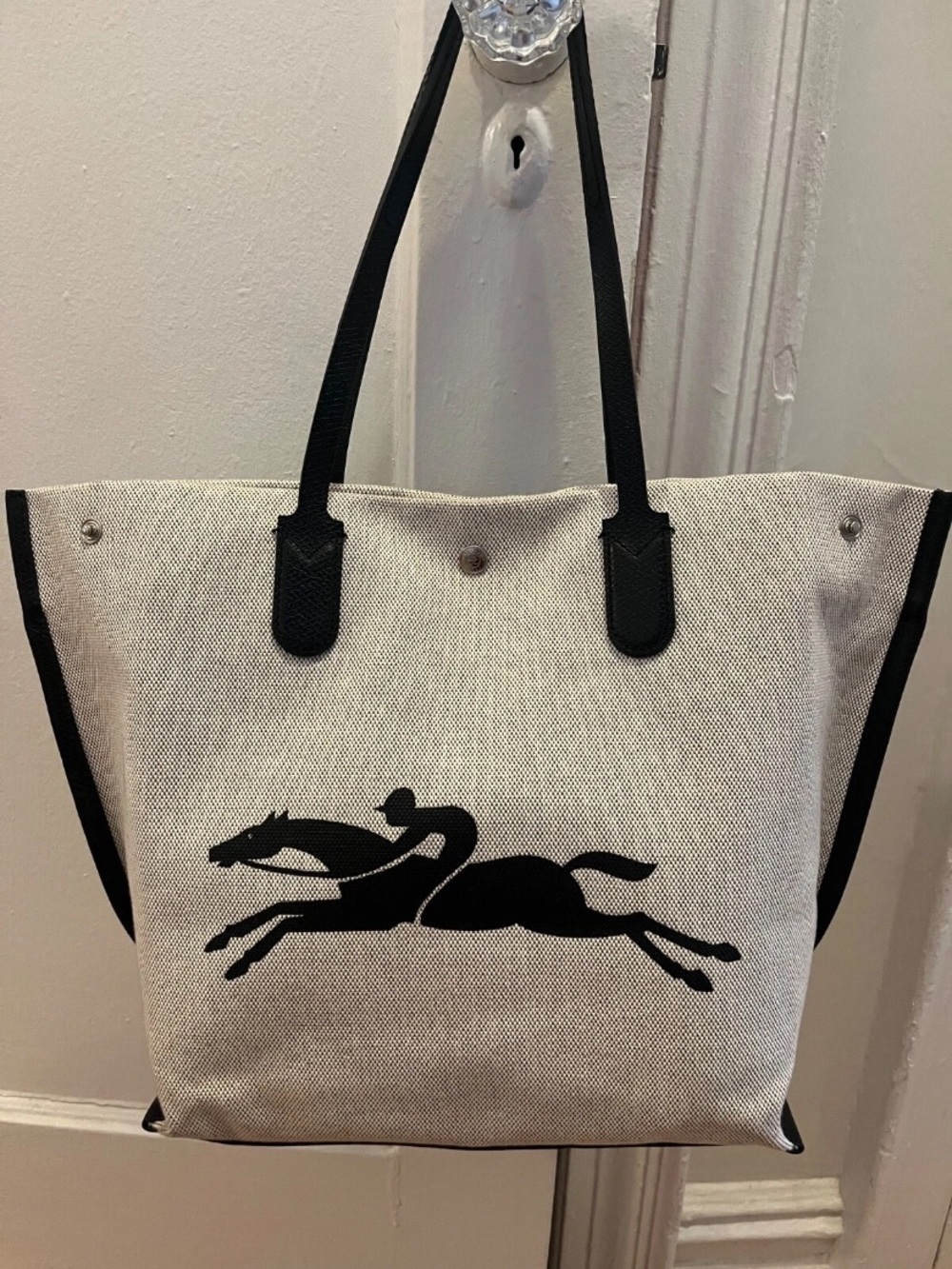 NEW!! Long  Champ Canvas Bag!